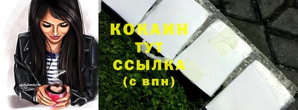 дживик Вязьма
