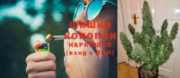 прущая мука Вяземский