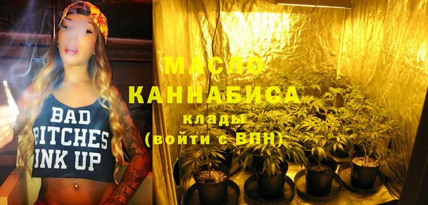 прущая мука Вяземский