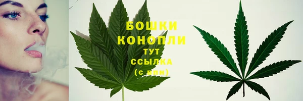 дживик Вязьма